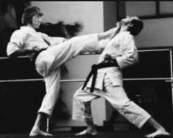 He was also a martial artist and had taken lessons of Tang Soo Do from Pat E. Johnson.